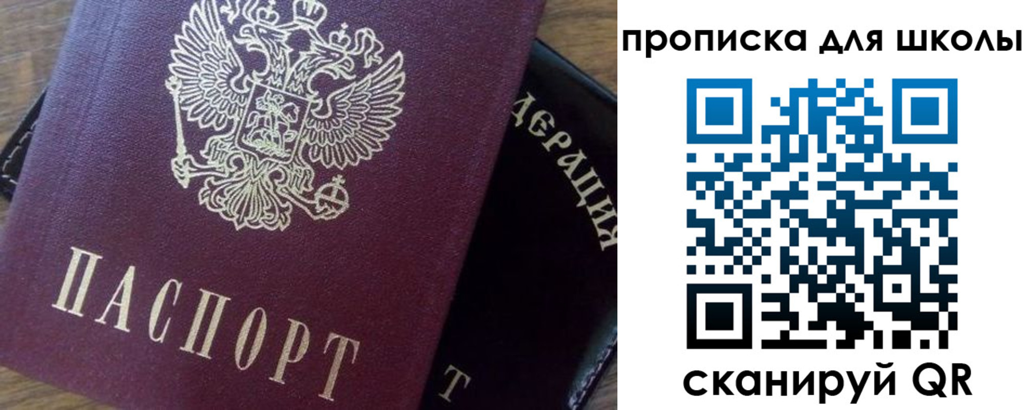 миграционный учет в Кингисеппе